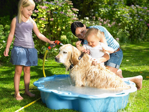 Kết quả hình ảnh cho trẻ chơi với thú cưng